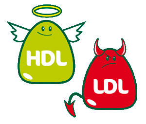 hdl-cholesterol-and-ldl-cholesterol-1